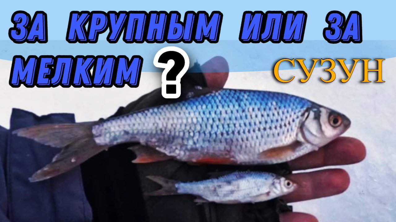 Весенняя рыбалка (Сузун) 19 марта 2023 г. Крупный или мелкий. Вот в чем вопрос !