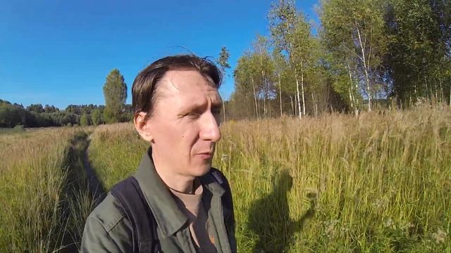 Судебное письмо, кидалы на авито и прочее. смотреть онлайн