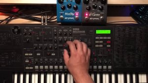 Korg MS2000B + Strymon ElCapistan & BlueSky Sequencing