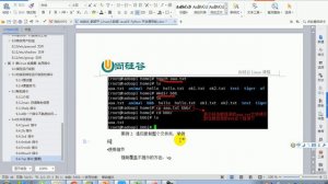 23 尚硅谷大数据Linux 实用指令 touch cp