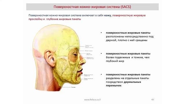 4. С чего начинать  эстетическую коррекцию?