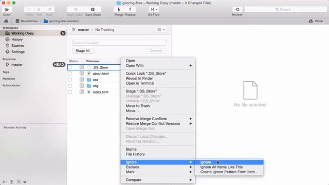 Ignoring Files [Learn Git Video Course] смотреть онлайн