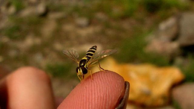 Сплав по реке Кондома смотреть онлайн