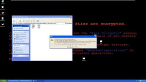 установил 3 вируса на windows xp | bonzikill | memez | wannacry