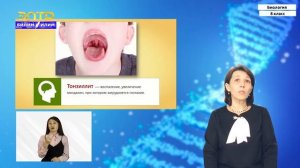 8-класс | Биология |  Гигиена дыхания