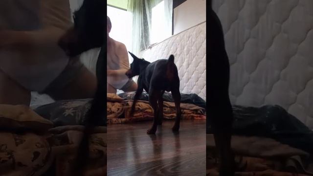 Делаем кувырок ??