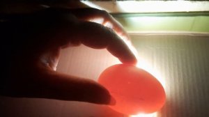 Инкубация куриных яиц день 5./Первое овоскопирование куриных яиц.