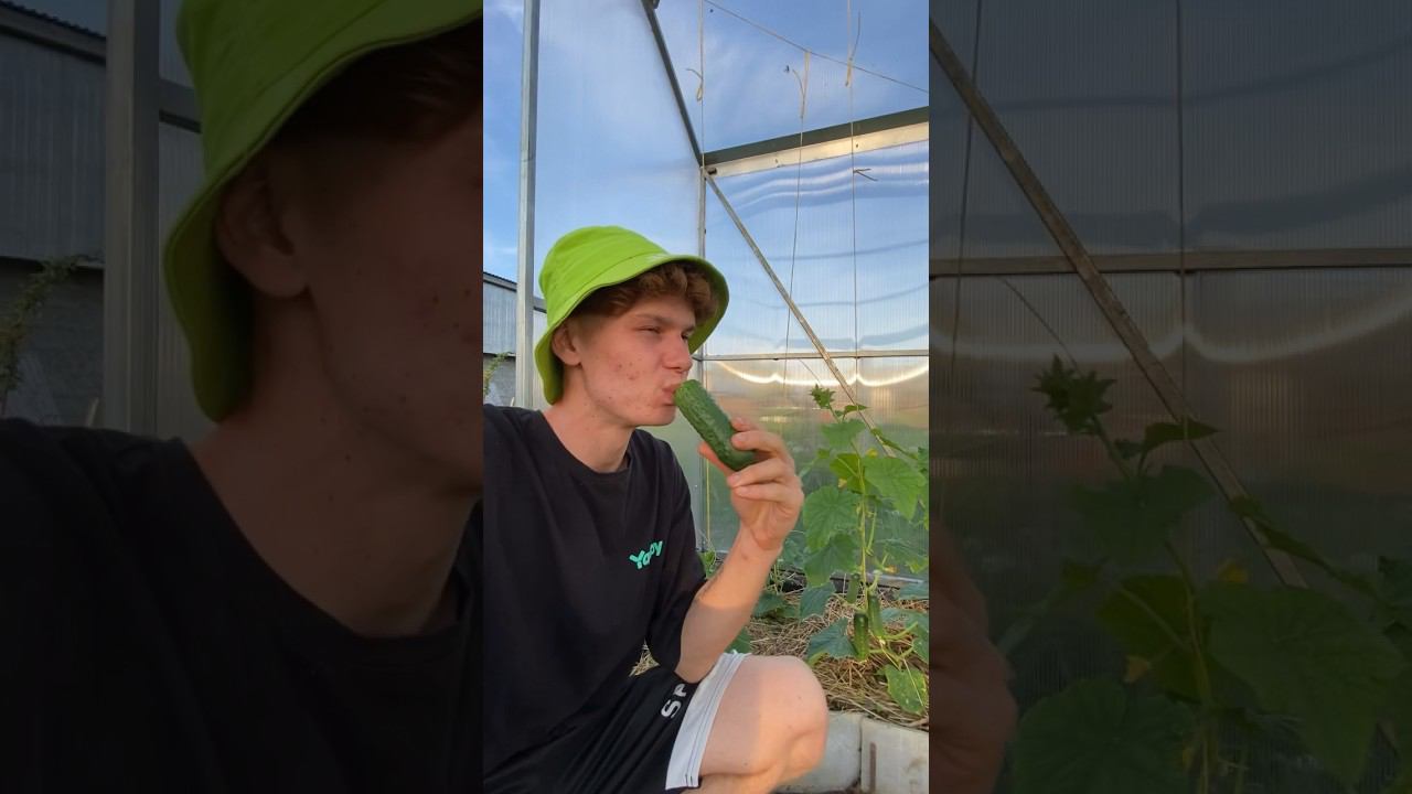 У нас потом от дождей ️ как у вас с погодой ? Пиши свой город и погоду в комментариях ☀️ смотреть онлайн