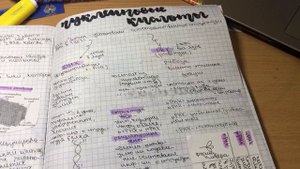 Study with me| неделя учёбы|день 4| умскул