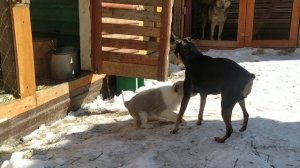 Малыши растут