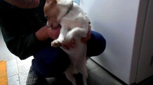 Лучик провинился.