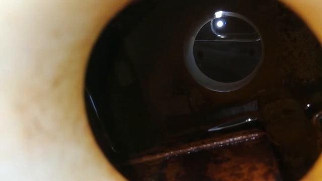 Какая жидкость в бачке, когда есть признаки пробитой прокладки на ...