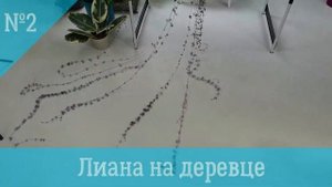 Три способа выращивания домашней лианы Церопегия Вуда: кокедама, опора, дуга