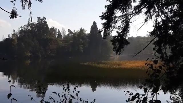 Я узнал…_Частухин Михаил Михайлович смотреть онлайн