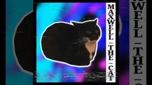 MAXWELL THE CAT PHONK