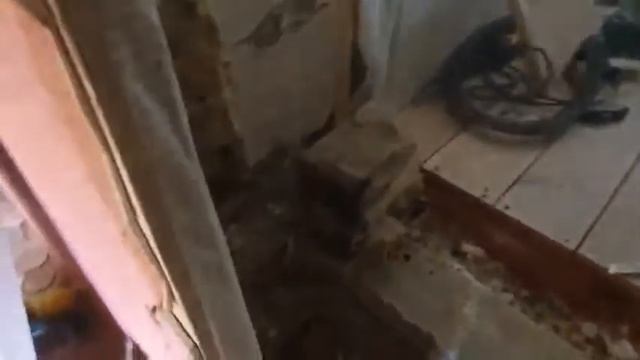 Пеноизол через 10 лет смотреть онлайн