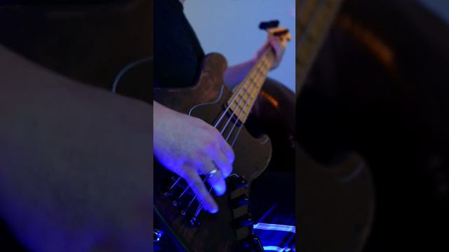 Rammstein - Sonne (Bass Cover)