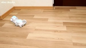 Робот Хамелеон Silverlit и Муравьи Феллахи против Таракана! alex boyko