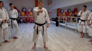 Об роли хикитэ в  технике карате до | Наработка проникающего удара