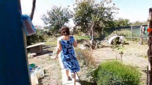 Купаем Рексика /У всех отличное Настроение 🥳