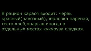 Карась,как ловить карася.100% улов!!!