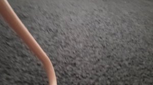 1000009572.mp4