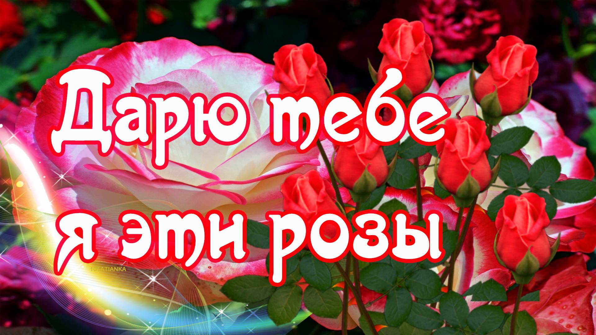 Дарю тебе я эти розы 🌹🌹🌹 смотреть онлайн