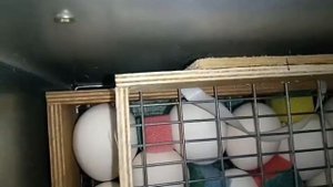 Сделали дополнительный лоток в инкубатор блиц на 48 яиц, на 72 яйца. Наш вариант