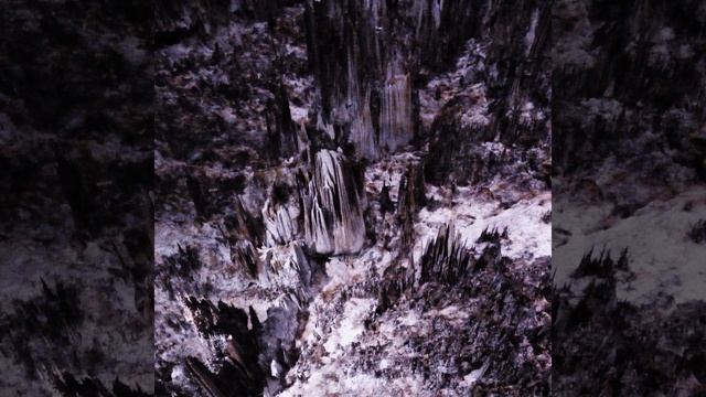 II (Turritopsis Nutricula) смотреть онлайн