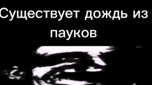 Ты услышал этот факт-13(Мистер Исключительный жуткие лица)