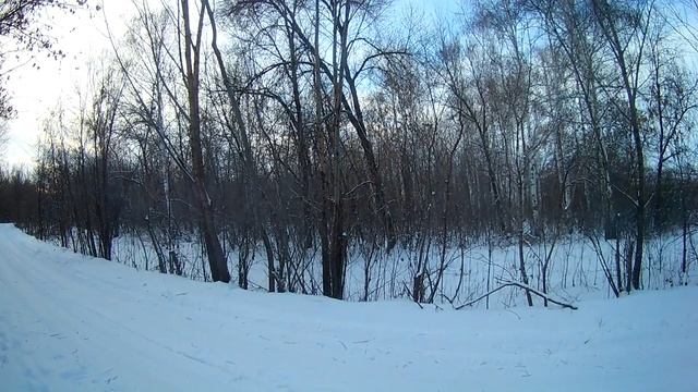 Охота на зайца!Как так...?!А ВОТ ТАК!!!Мозила!/Hunting for a hare! How so ...?!, that's so! смотреть онлайн