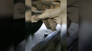 Mercedes-Benz Sprinter замена резинок заднего стабилизатора