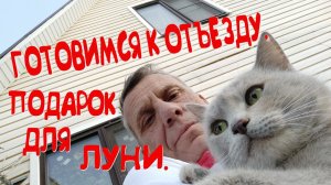 ГОТОВИМСЯ К ОТЪЕЗДУ.УТРО.ЛУНЯ ПРОСЫПАЕТСЯ.КУПИЛ РЮКЗАК-ПЕРЕНОСКУ ДЛЯ ПРОГУЛОК.