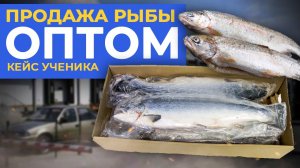 Продажа Дальневосточной Рыбы ОПТОМ! Отзыв Ученика _ Андрей Гук