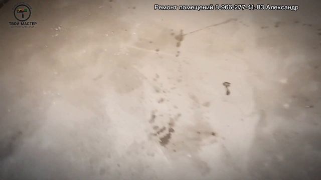 2  День второй. Кинула доставка. Грунтовка доложил блоки  зачистил шпатлёвку.Навёл порядок.