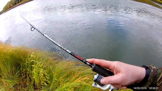 Язь на р. Лемью 13.09.2018 смотреть онлайн