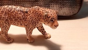 Моя коллекция диких кошек