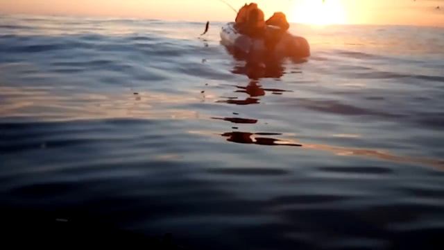 Касатка сожрала смотреть онлайн