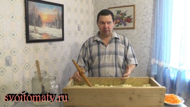 Квашение капусты и щаницы на зиму смотреть онлайн