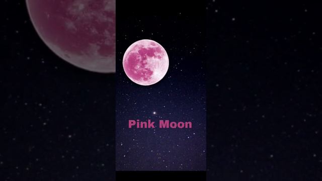 The full moon in April 2023||#lunareclipse #moon phases 2023 смотреть онлайн