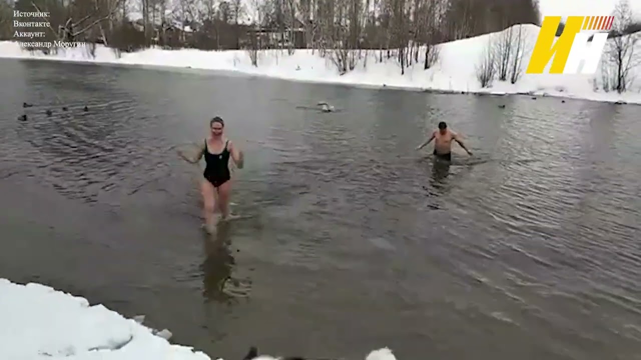 моржи иваново. ивановские моржи. заплывы зимой углич. моржи иваново. моржи иваново.