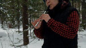 Morrison's Jig in the Forest | Tin Whistle and Low Whistle (Irish Flute Music)