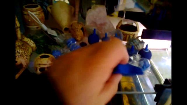 дополнительный кислород для аквариума смотреть онлайн