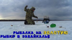 РЫБАЛКА НА ЗОЛОТУЮ рыбку в ЗАБАЙКАЛЬЕ