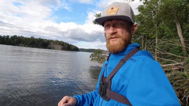 ТЕЙЛ СПИННЕР!!! Не перестаёт удивлять. Спиннинг с берега. Ловля хищника на спиннинг. Рыбалка. смотреть онлайн