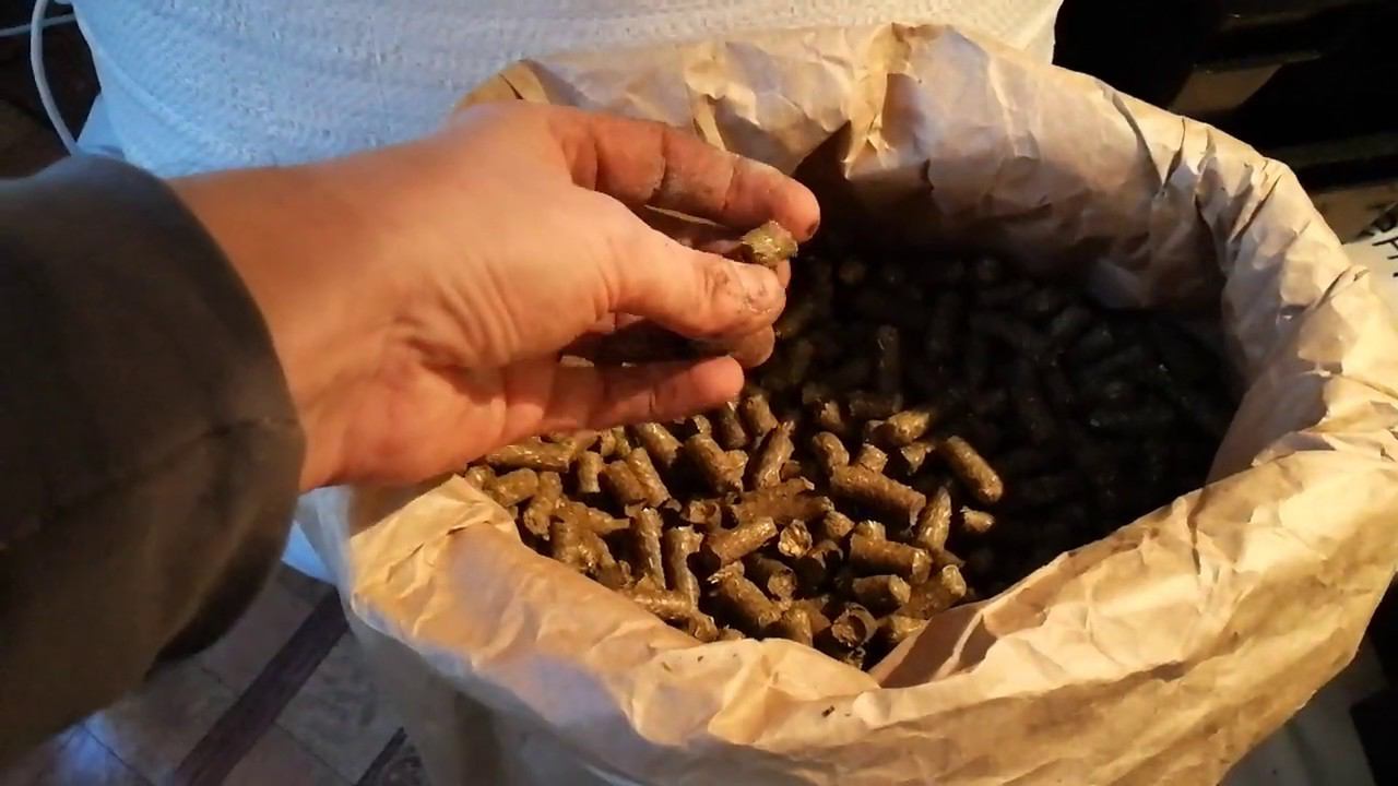 Кормим Дендробену венету витаминно травяной мукой в гранулах.