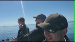 Massive Whales Off The Bay Of Fundy/St Andrew's Quoddy Link Marine Whale & Wildlife Cruises