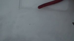 АКА Сорекс 7281 1.01 выделение сигнала