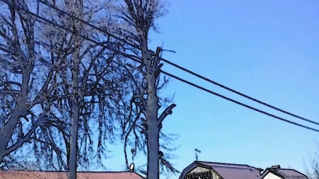 Дерево опасное в кашире, ступино, озёрах, тульской смотреть онлайн