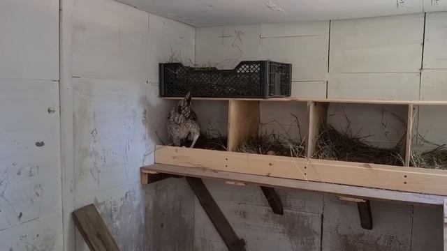 Ейск ? Ейская коса. Пляж. Июнь 2022. Посылка от интернет- магазина Любимый Василёк?